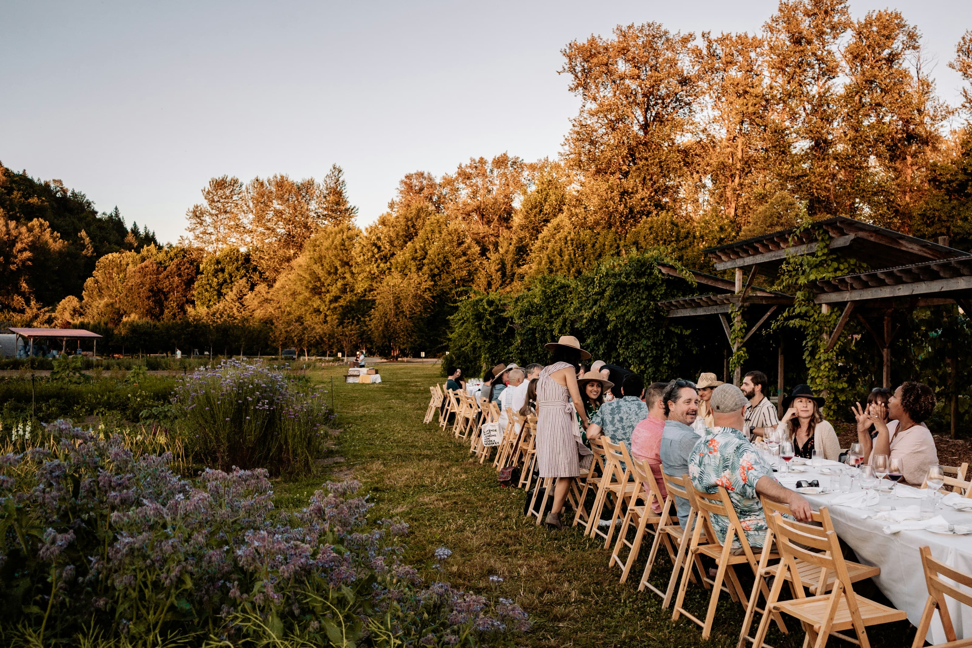 An elegant wedding reception dinner at golden hour